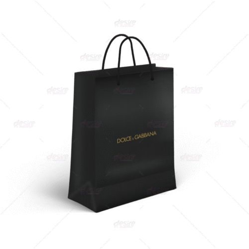 Dolce and Gabbana Paper Bag